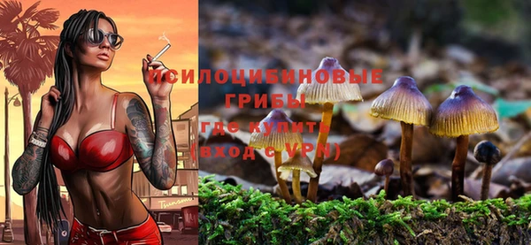 МДМА Абаза